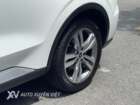 Ford Territory Titanium X 1.5AT 2024 Ford Territory Titanium X 1.5AT 2024